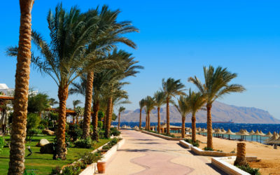 beautiful beach and ocean in sharm el sheikh, egypt